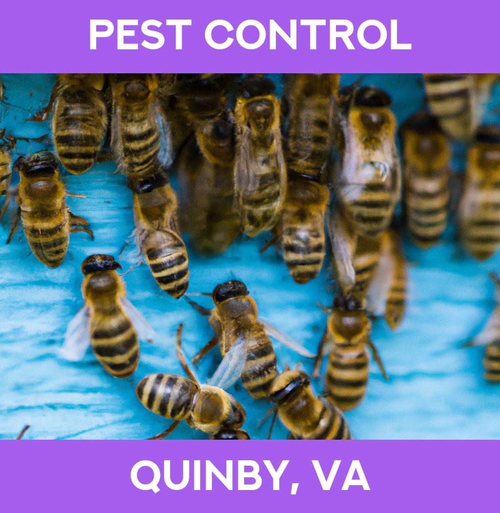 pest control in Quinby Virginia