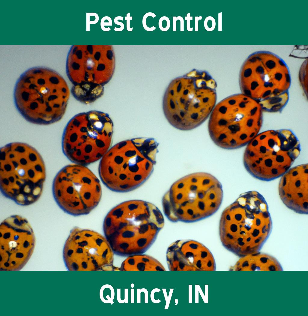 pest control in Quincy Indiana