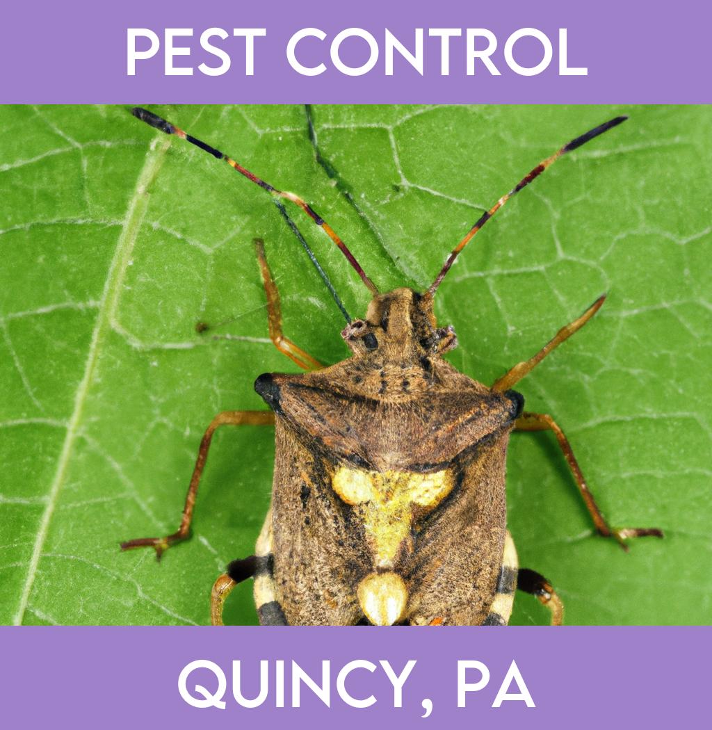 pest control in Quincy Pennsylvania