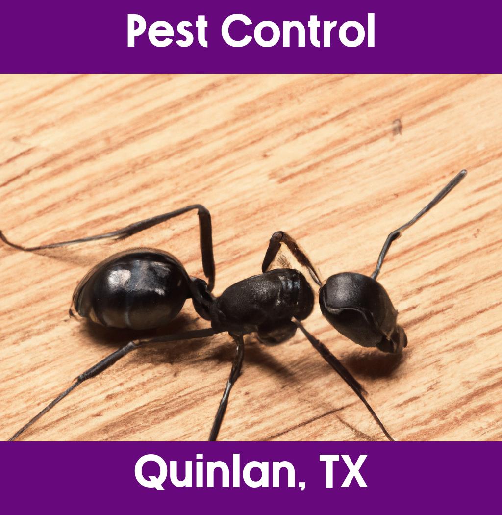 pest control in Quinlan Texas