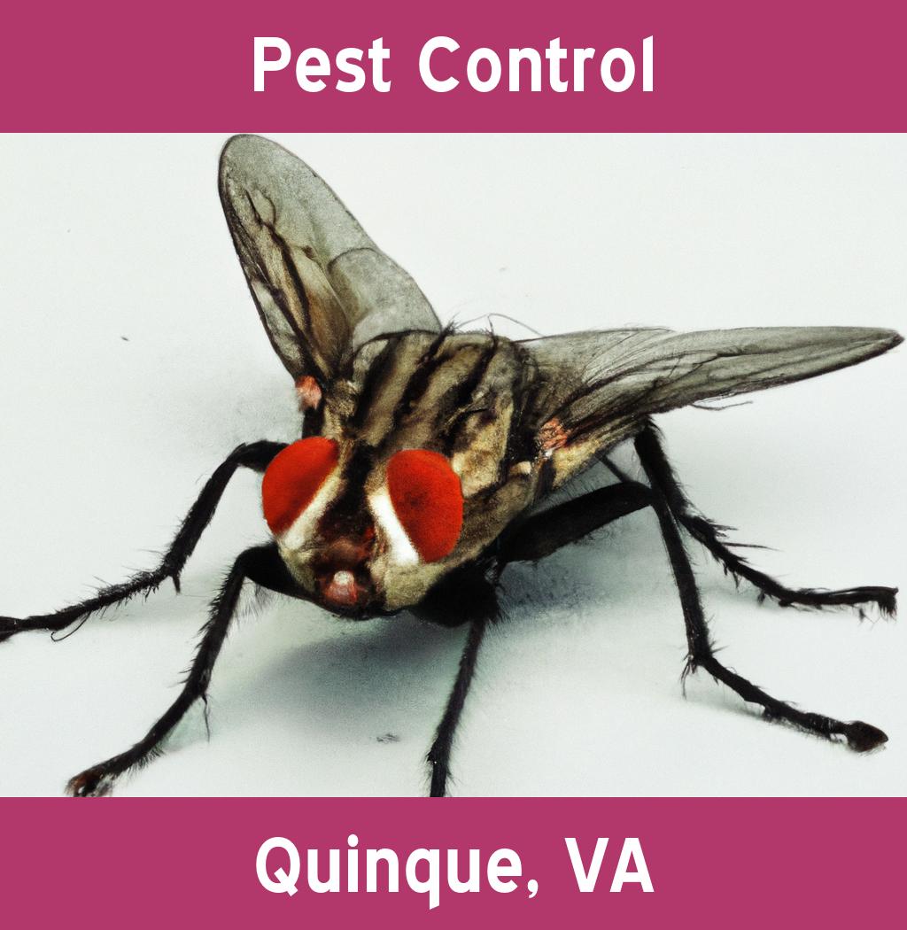 pest control in Quinque Virginia