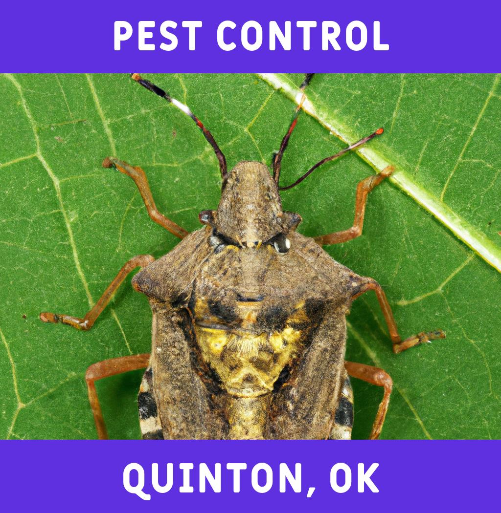 pest control in Quinton Oklahoma