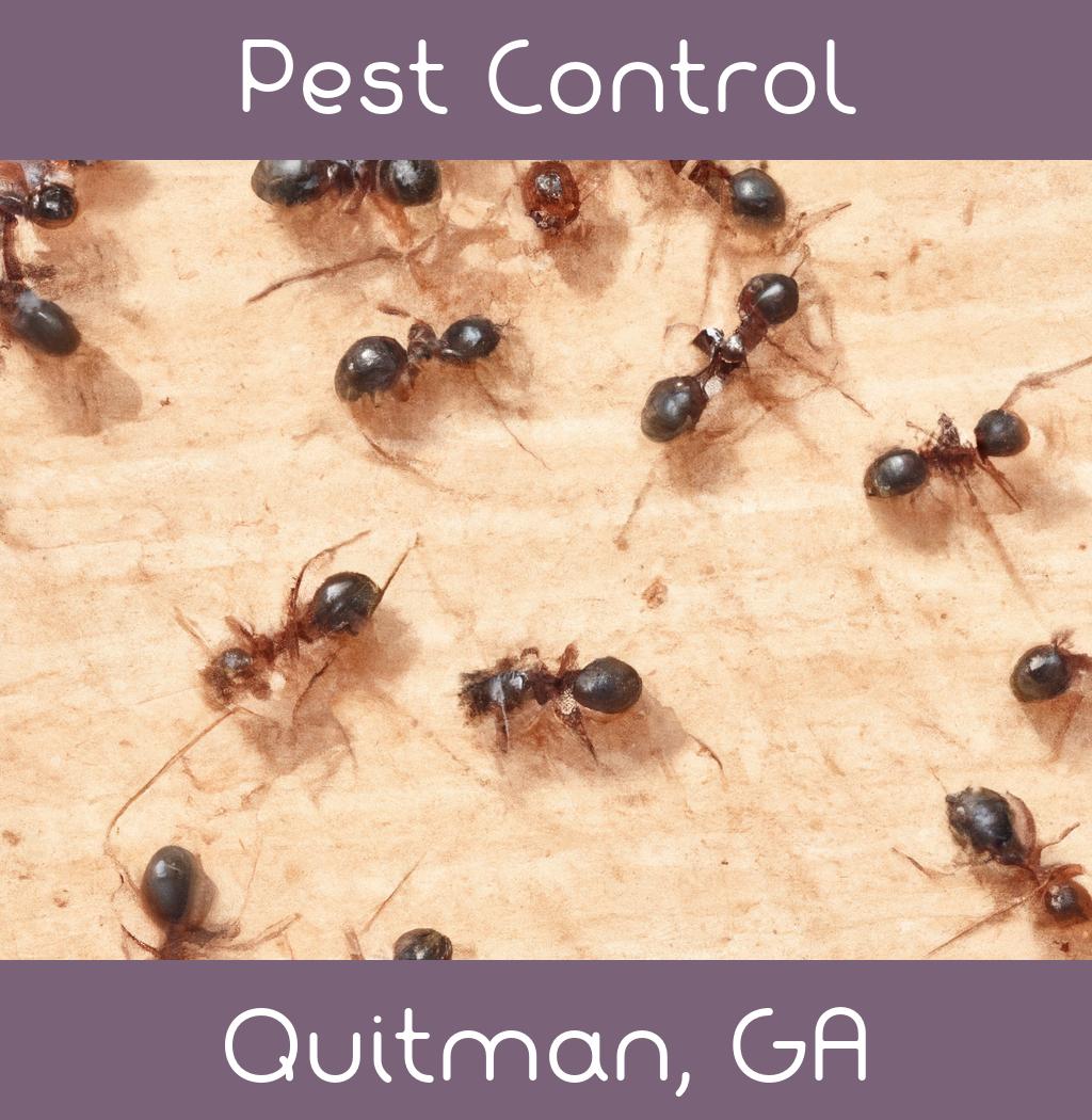 pest control in Quitman Georgia