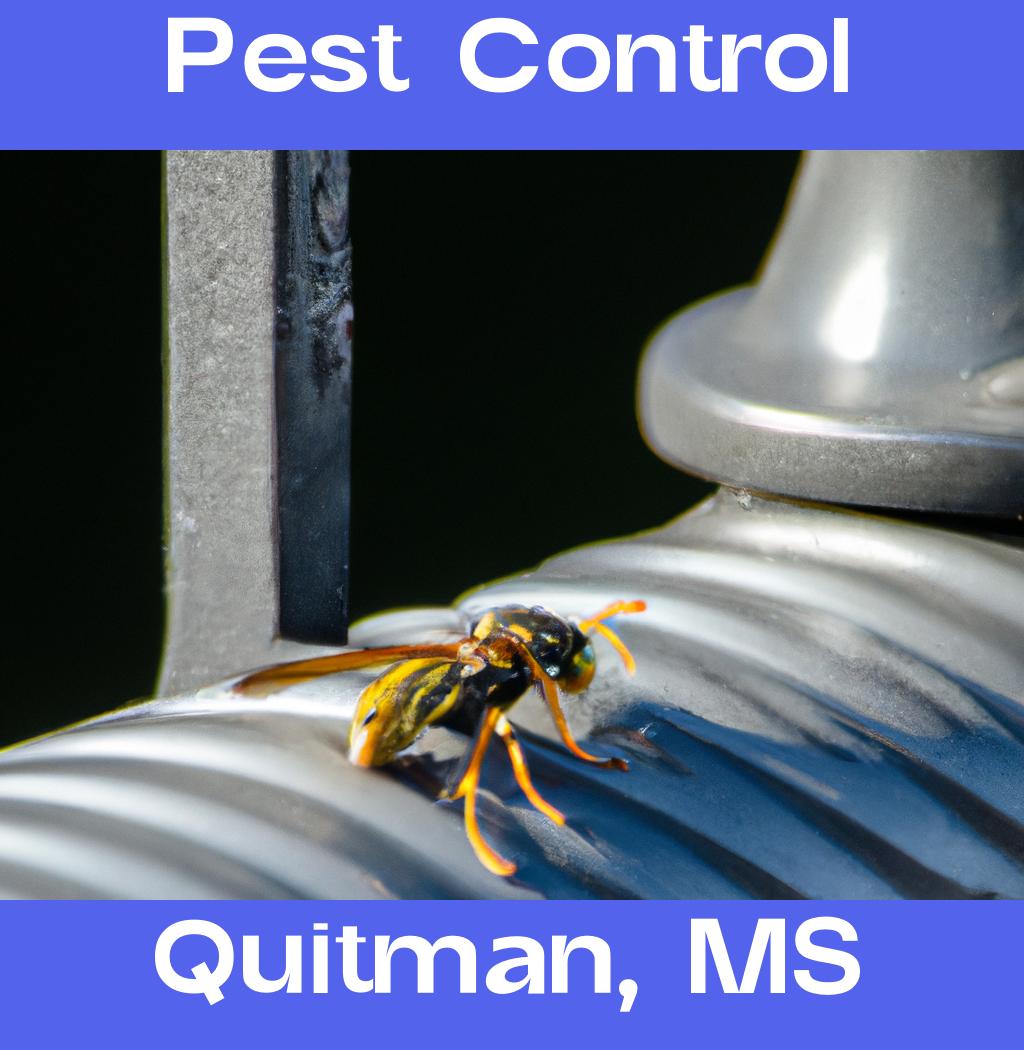 pest control in Quitman Mississippi
