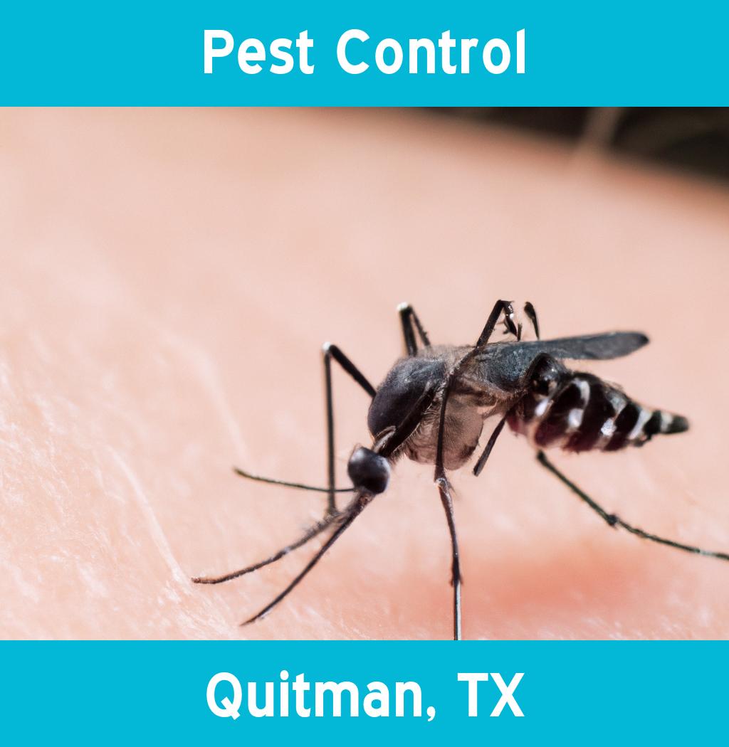 pest control in Quitman Texas
