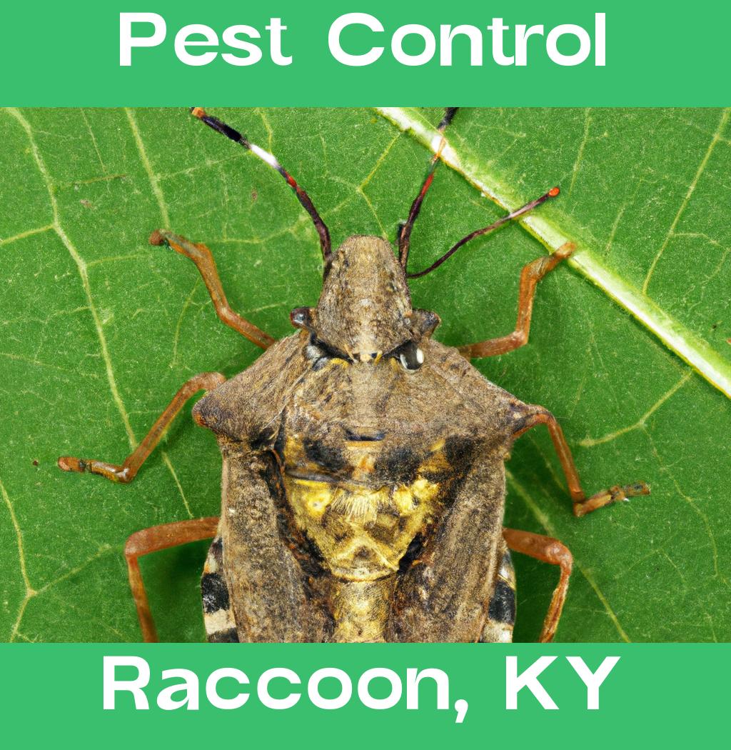pest control in Raccoon Kentucky