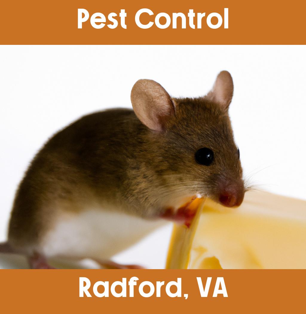 pest control in Radford Virginia