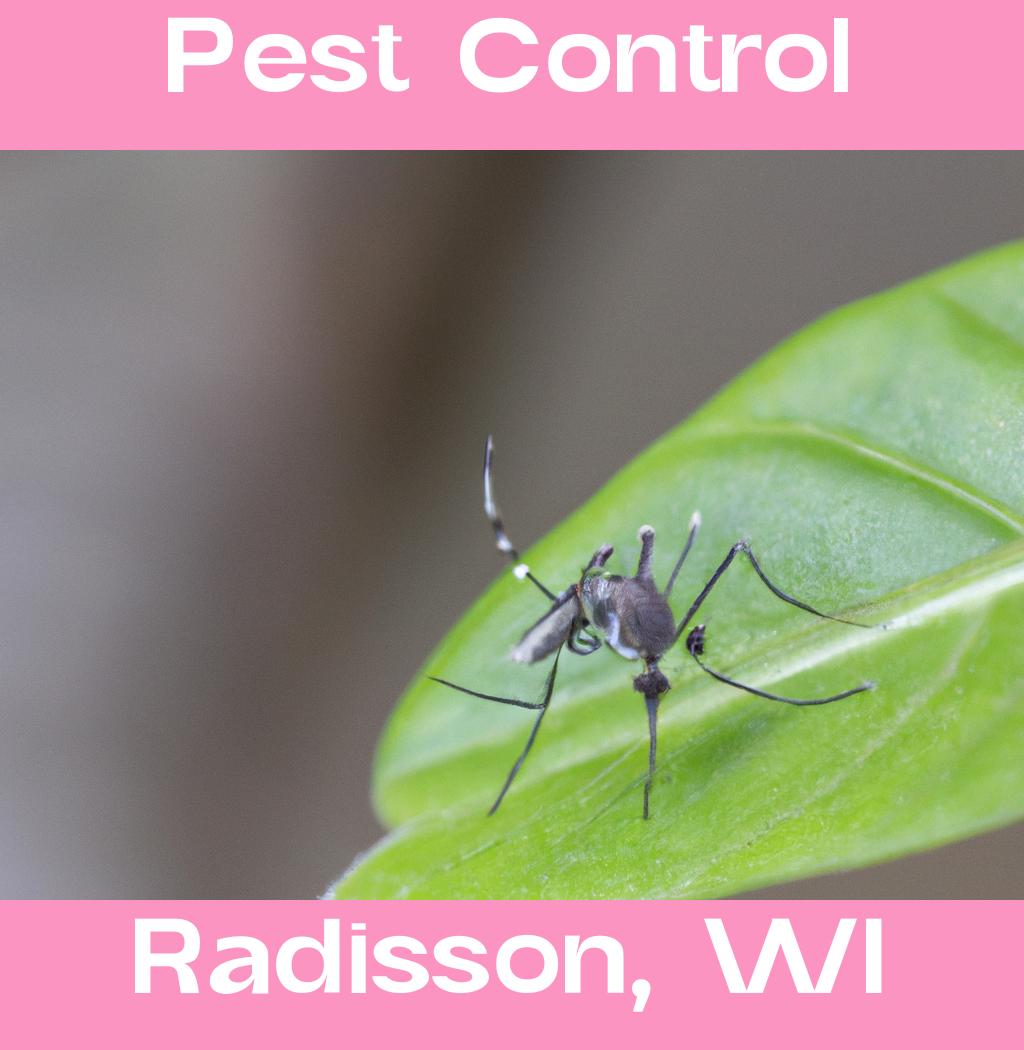 pest control in Radisson Wisconsin