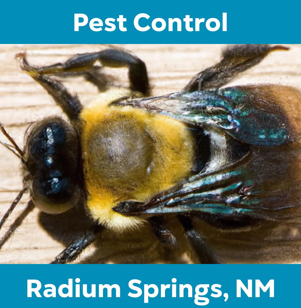 pest control in Radium Springs New Mexico