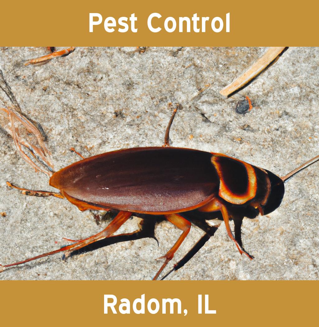 pest control in Radom Illinois