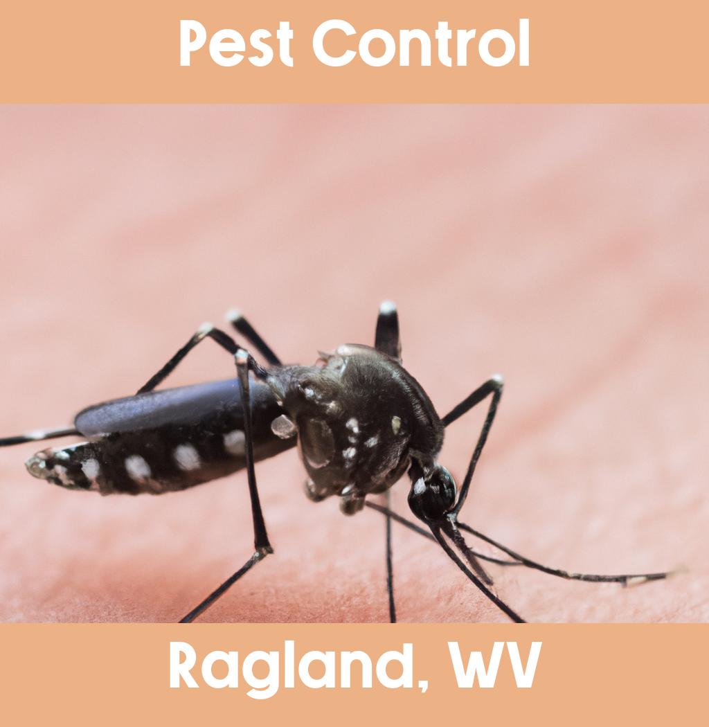 pest control in Ragland West Virginia