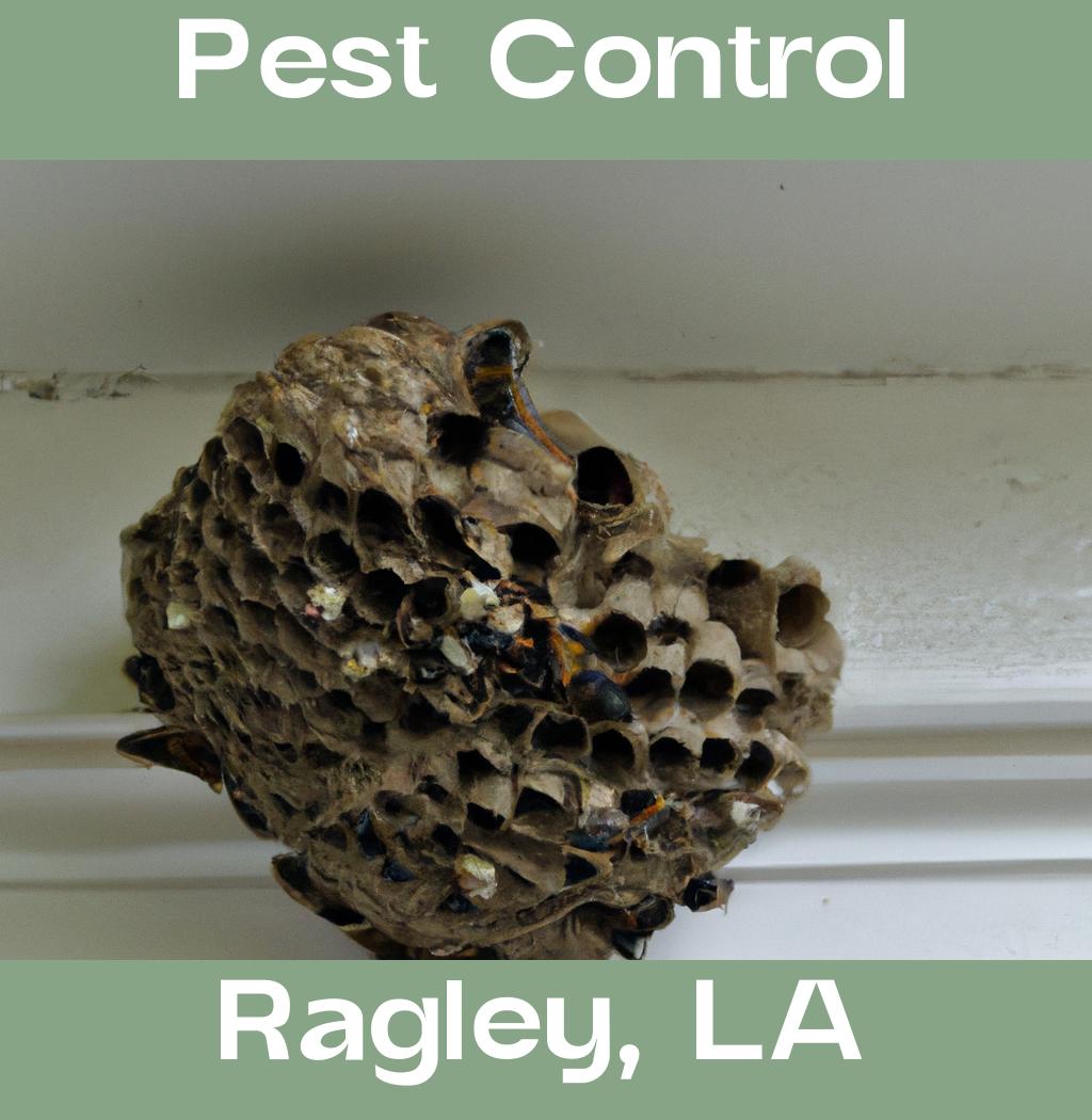 pest control in Ragley Louisiana