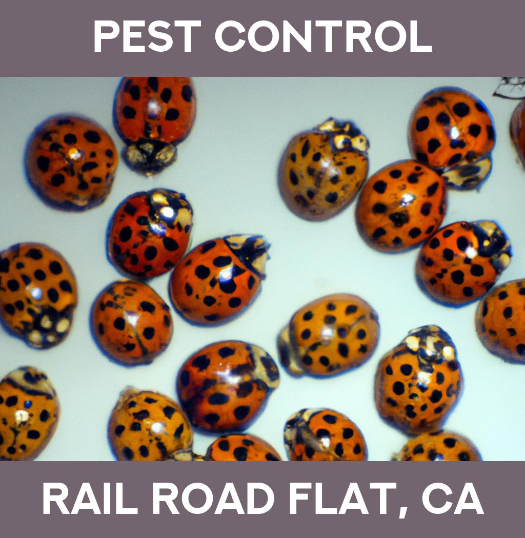 pest control in Rail Road Flat California