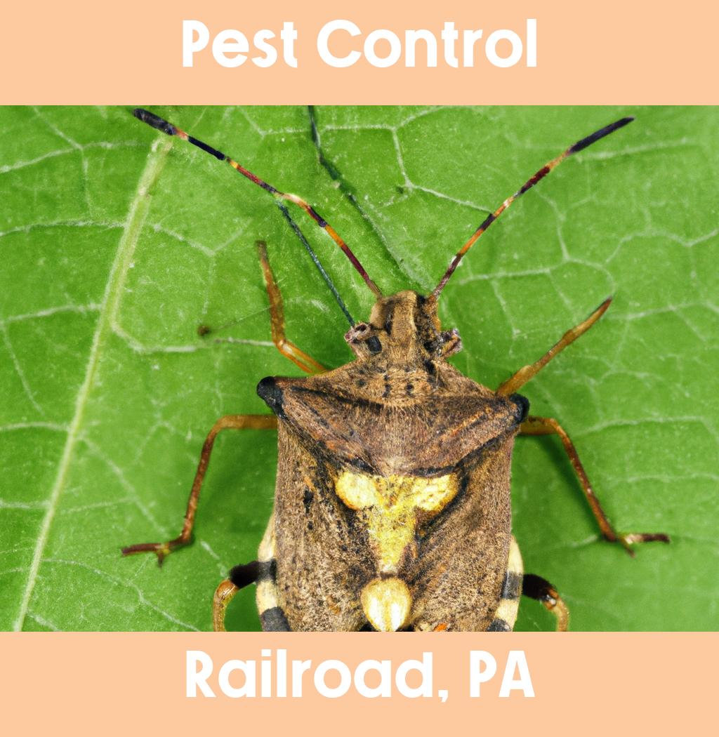 pest control in Railroad Pennsylvania