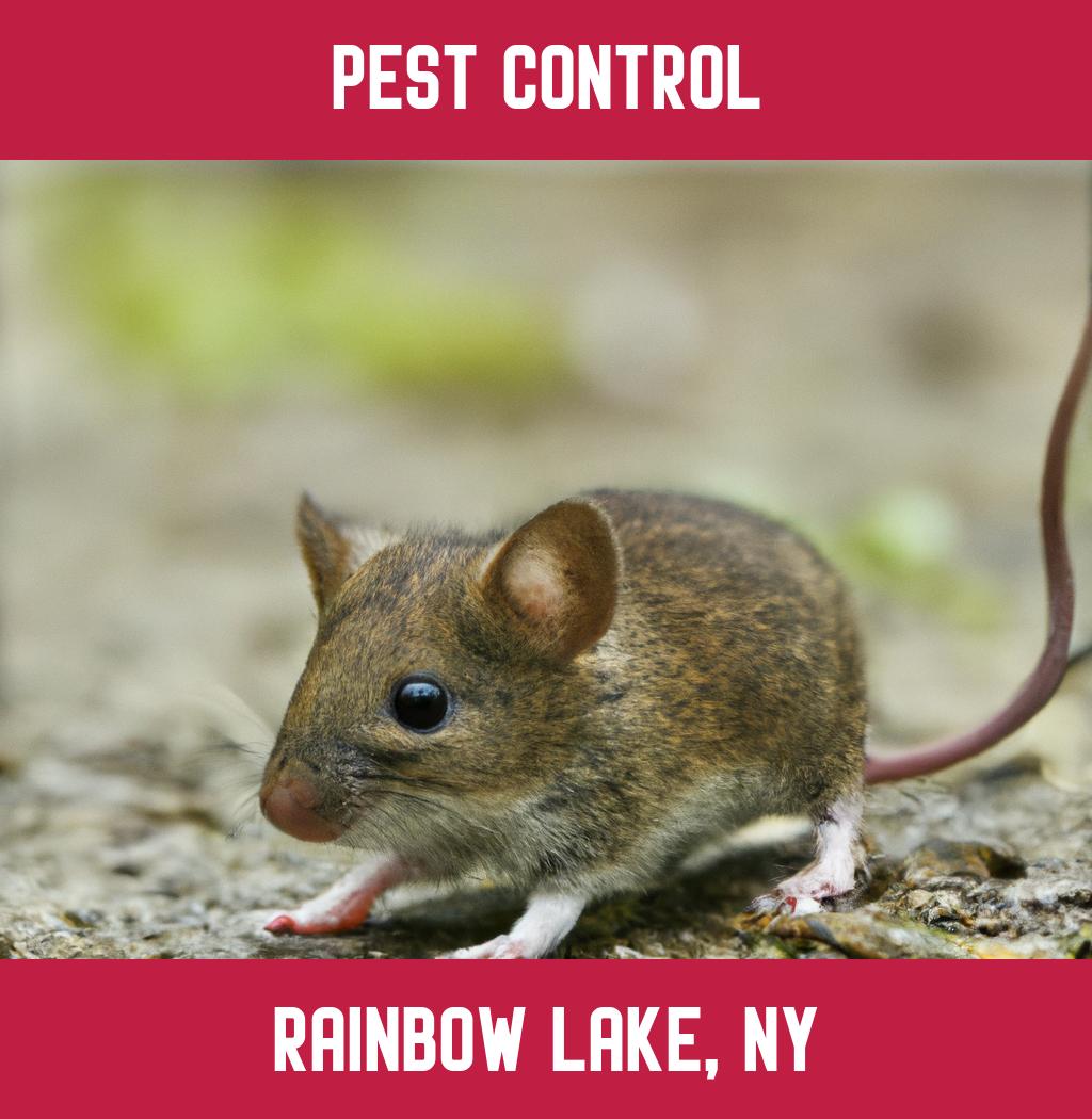 pest control in Rainbow Lake New York
