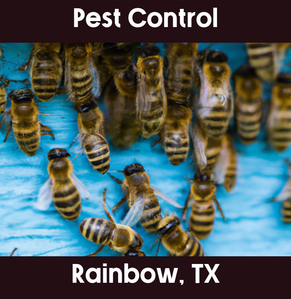 pest control in Rainbow Texas