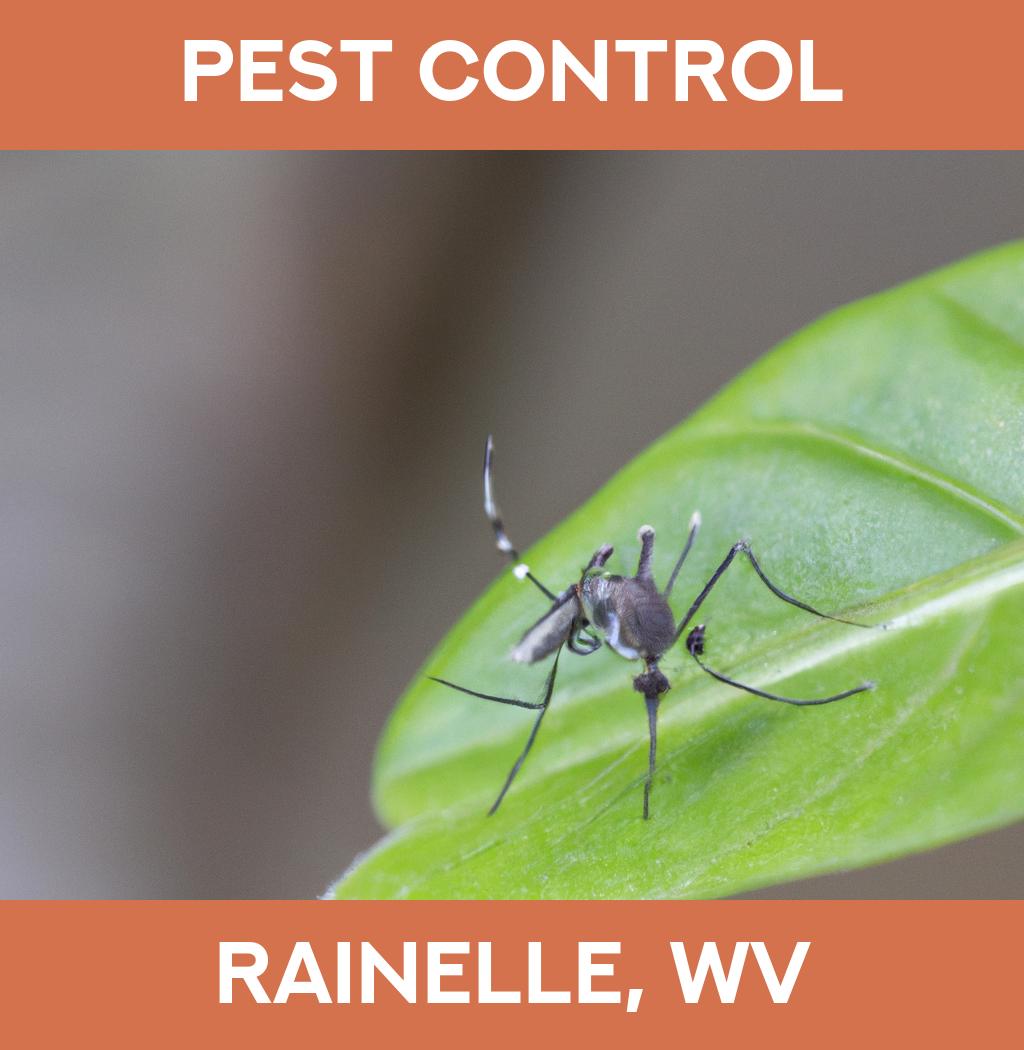 pest control in Rainelle West Virginia
