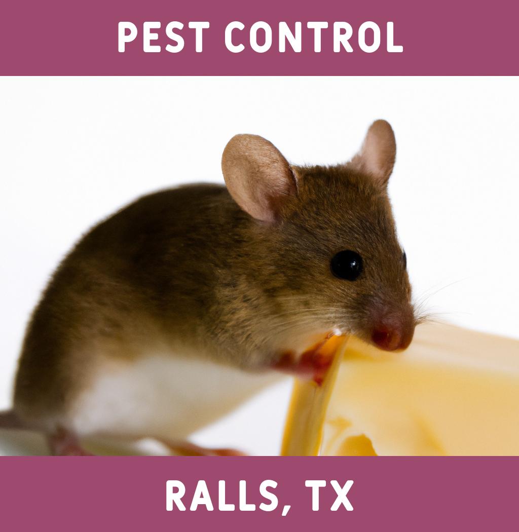 pest control in Ralls Texas
