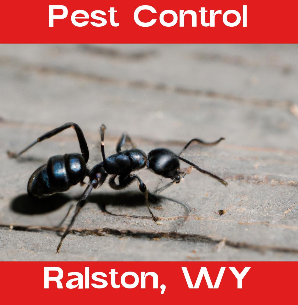 pest control in Ralston Wyoming