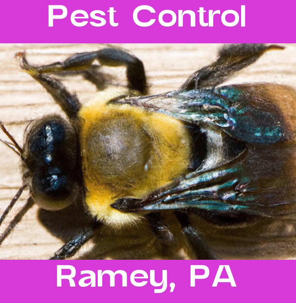 pest control in Ramey Pennsylvania