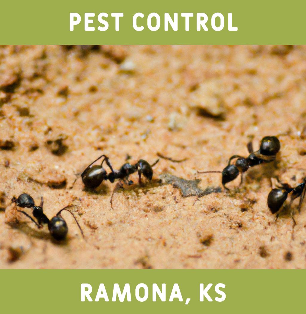 pest control in Ramona Kansas