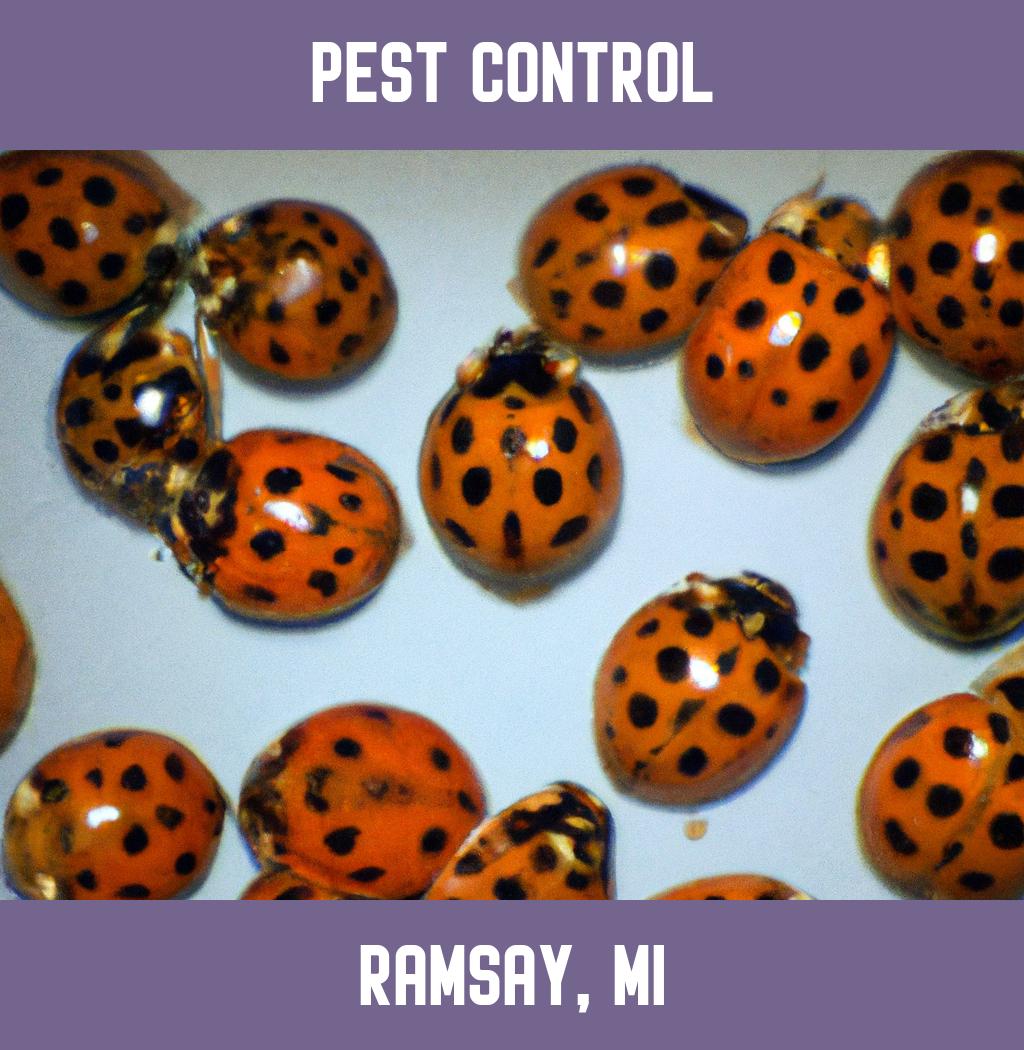 pest control in Ramsay Michigan