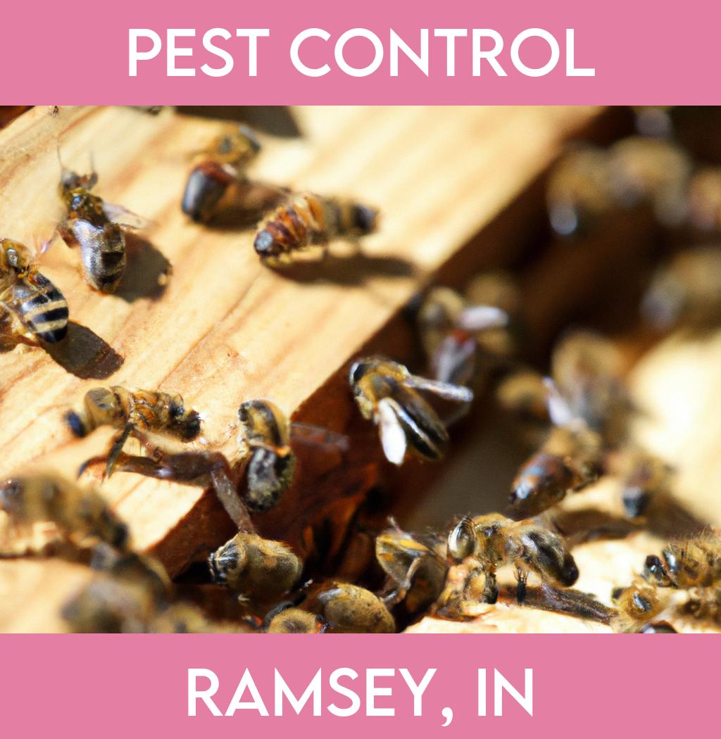 pest control in Ramsey Indiana