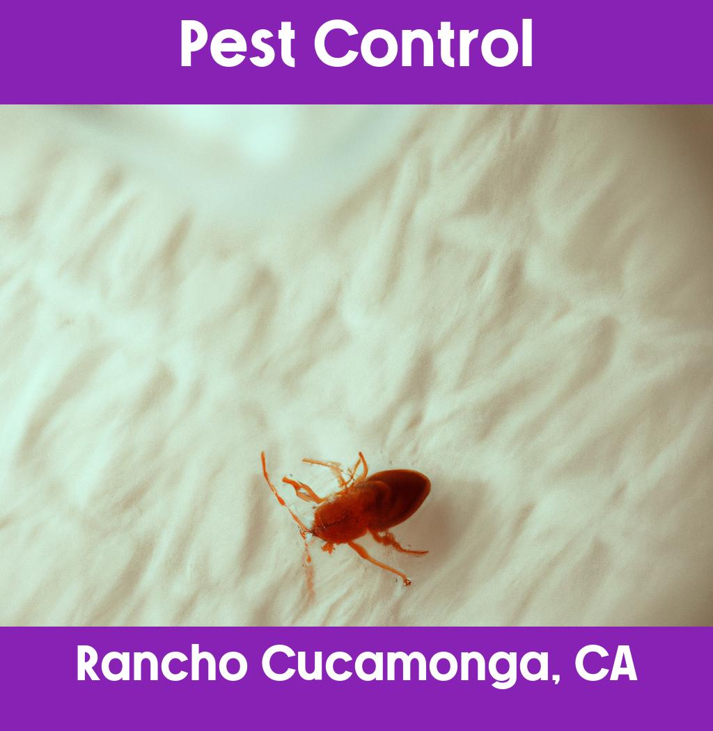 pest control in Rancho Cucamonga California