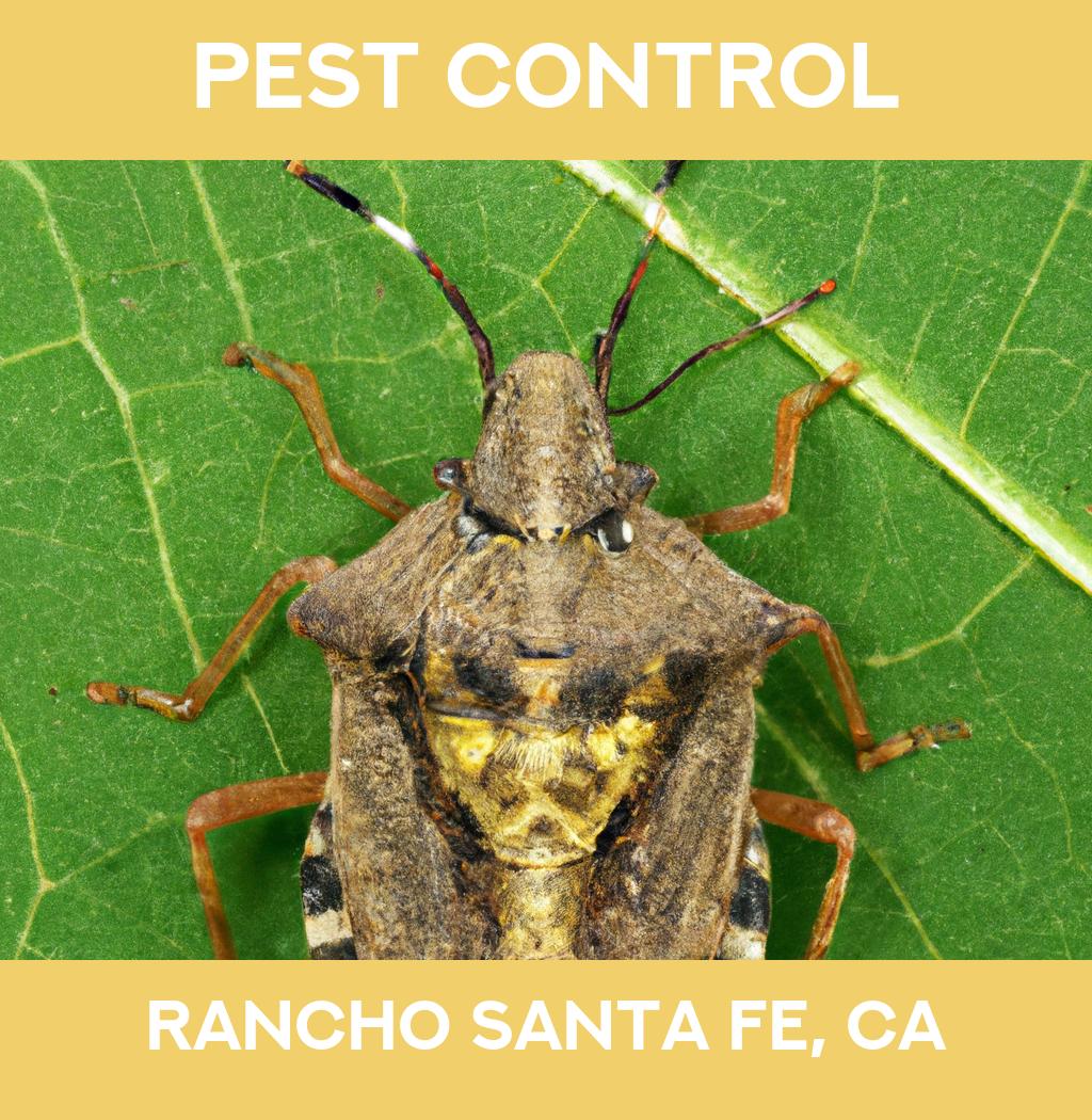 pest control in Rancho Santa Fe California