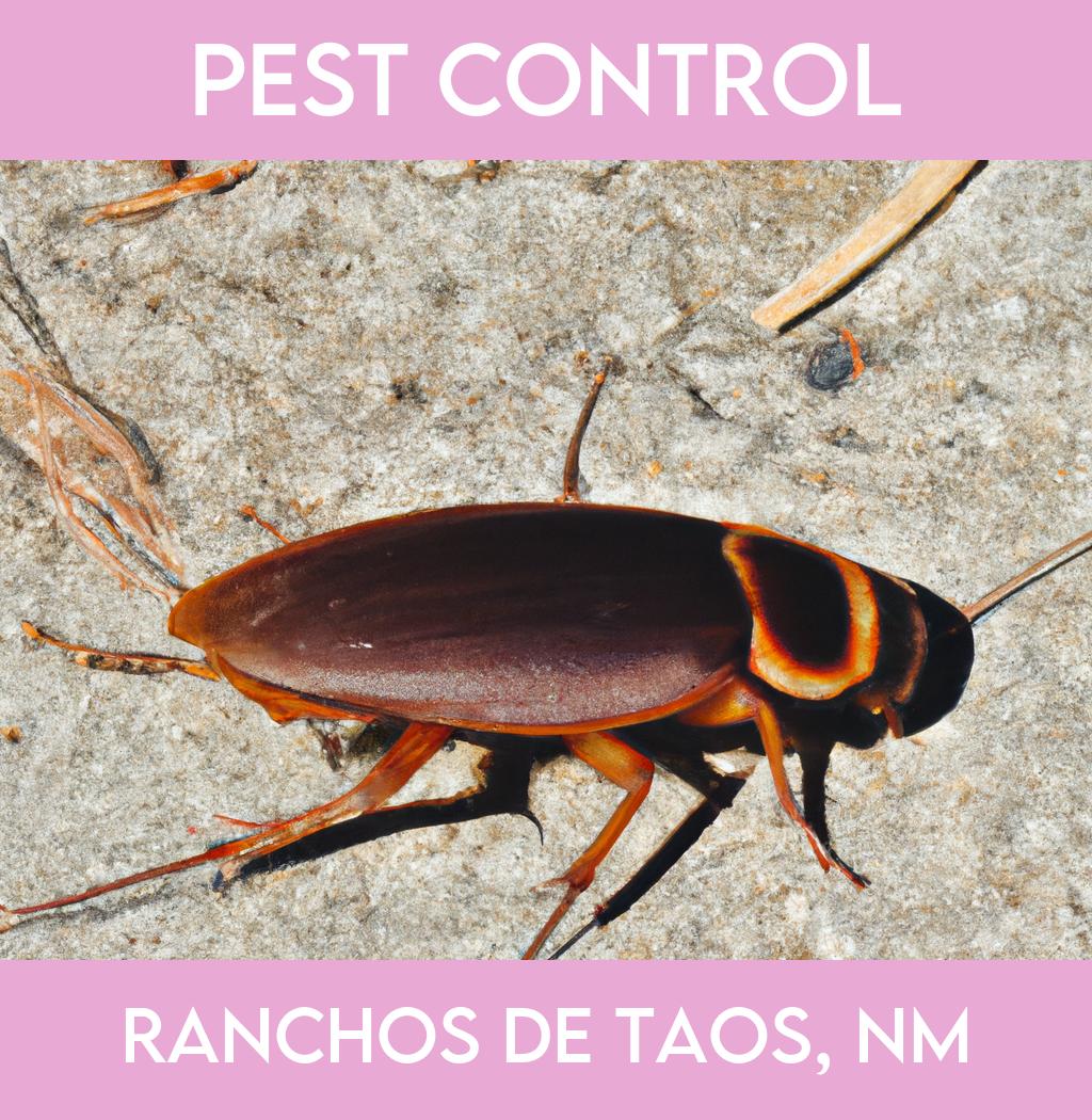 pest control in Ranchos De Taos New Mexico