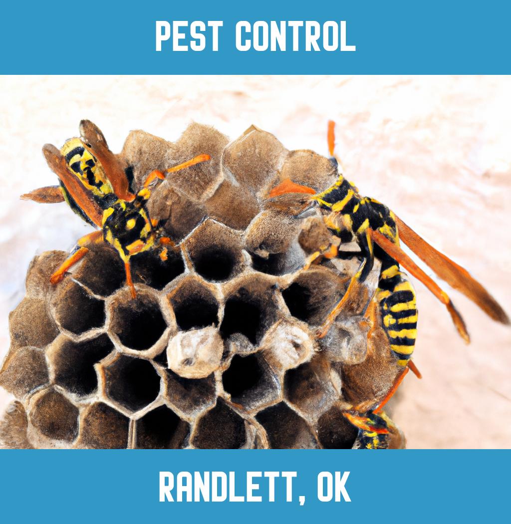 pest control in Randlett Oklahoma