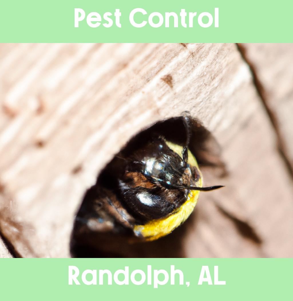 pest control in Randolph Alabama