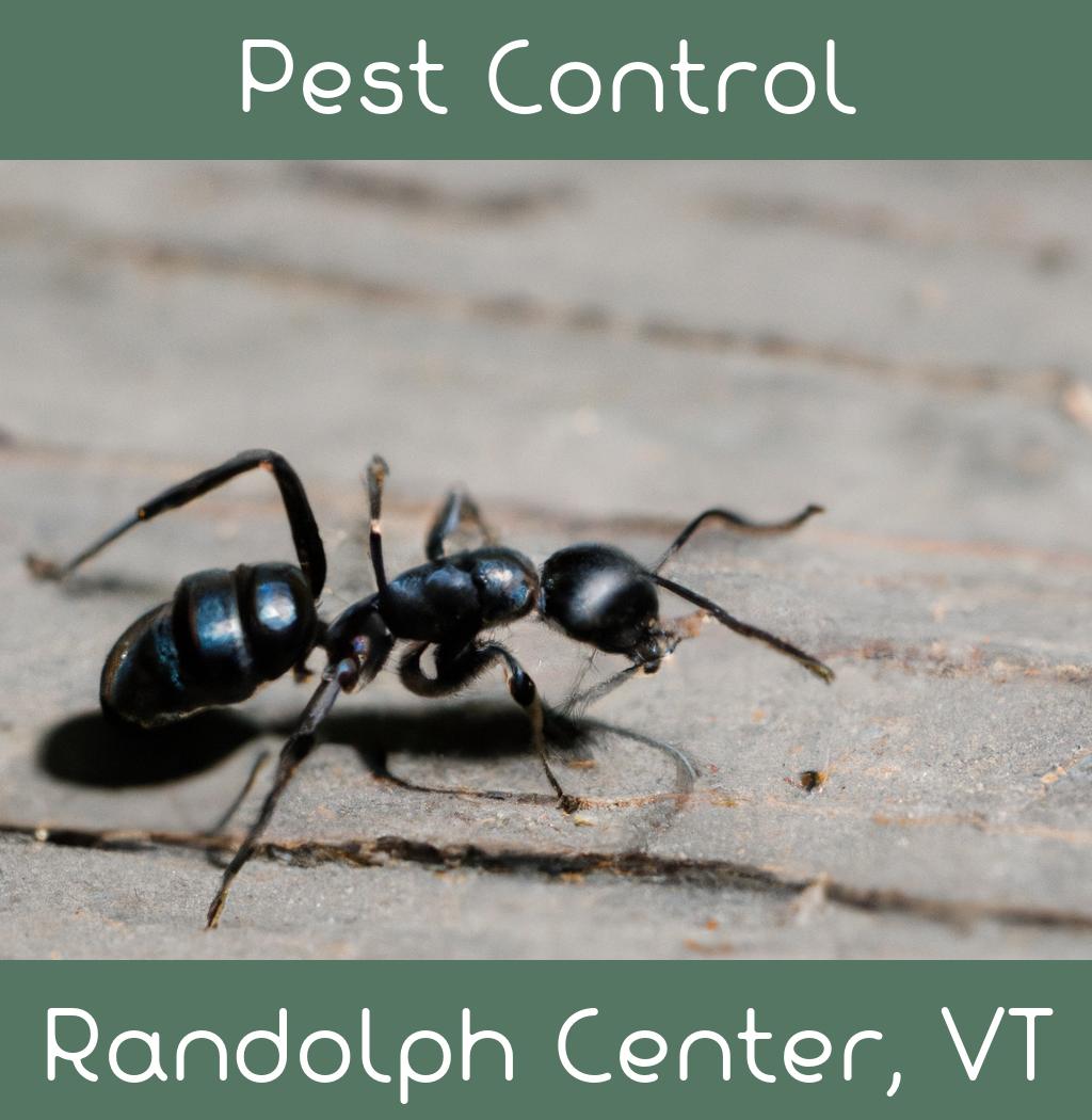 pest control in Randolph Center Vermont