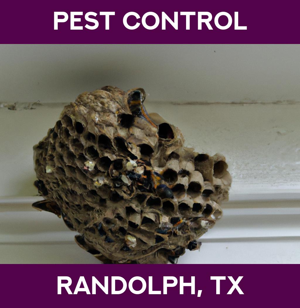 pest control in Randolph Texas