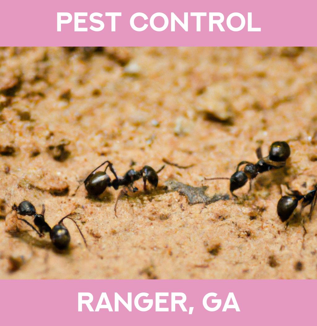 pest control in Ranger Georgia