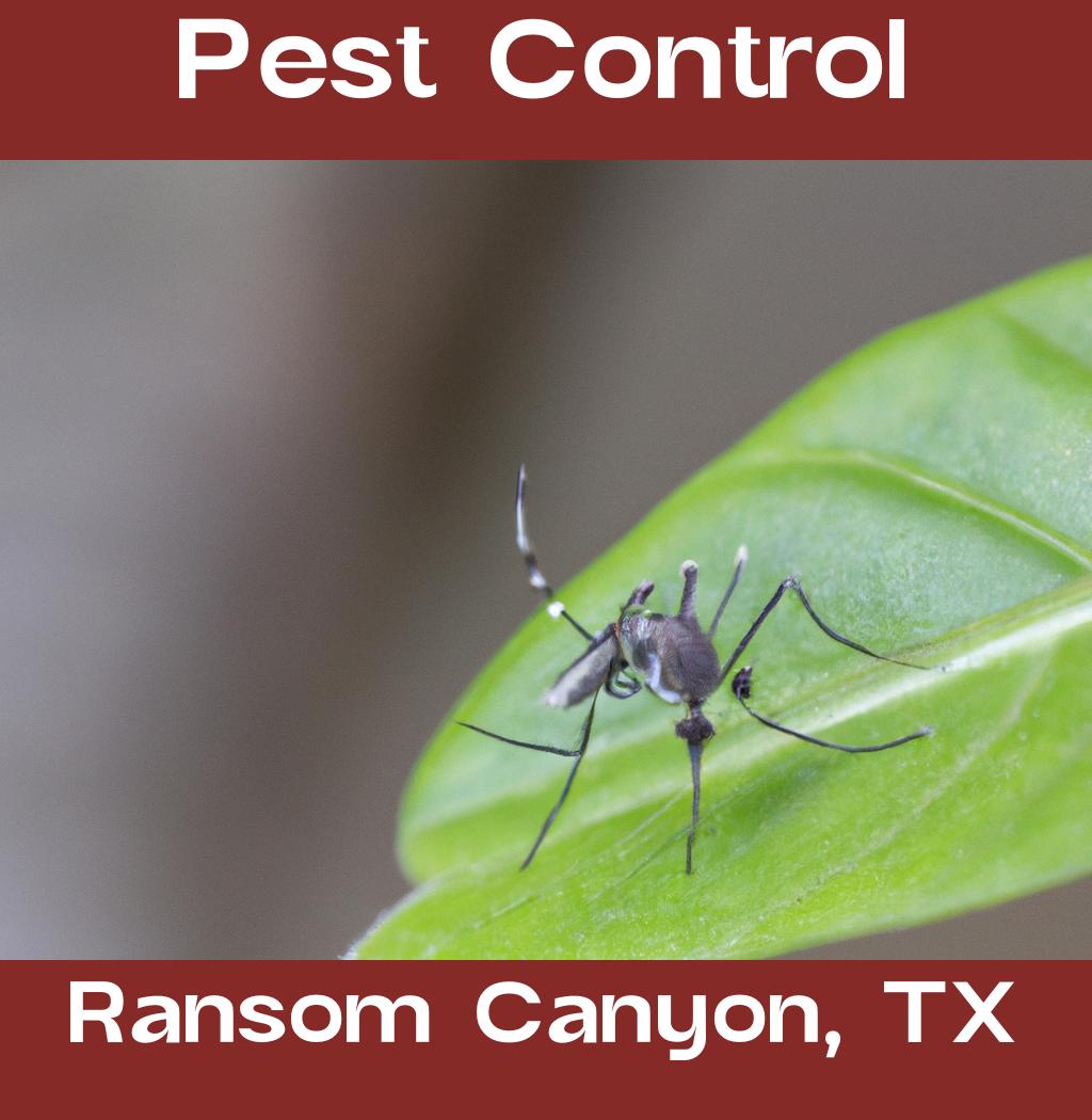 pest control in Ransom Canyon Texas