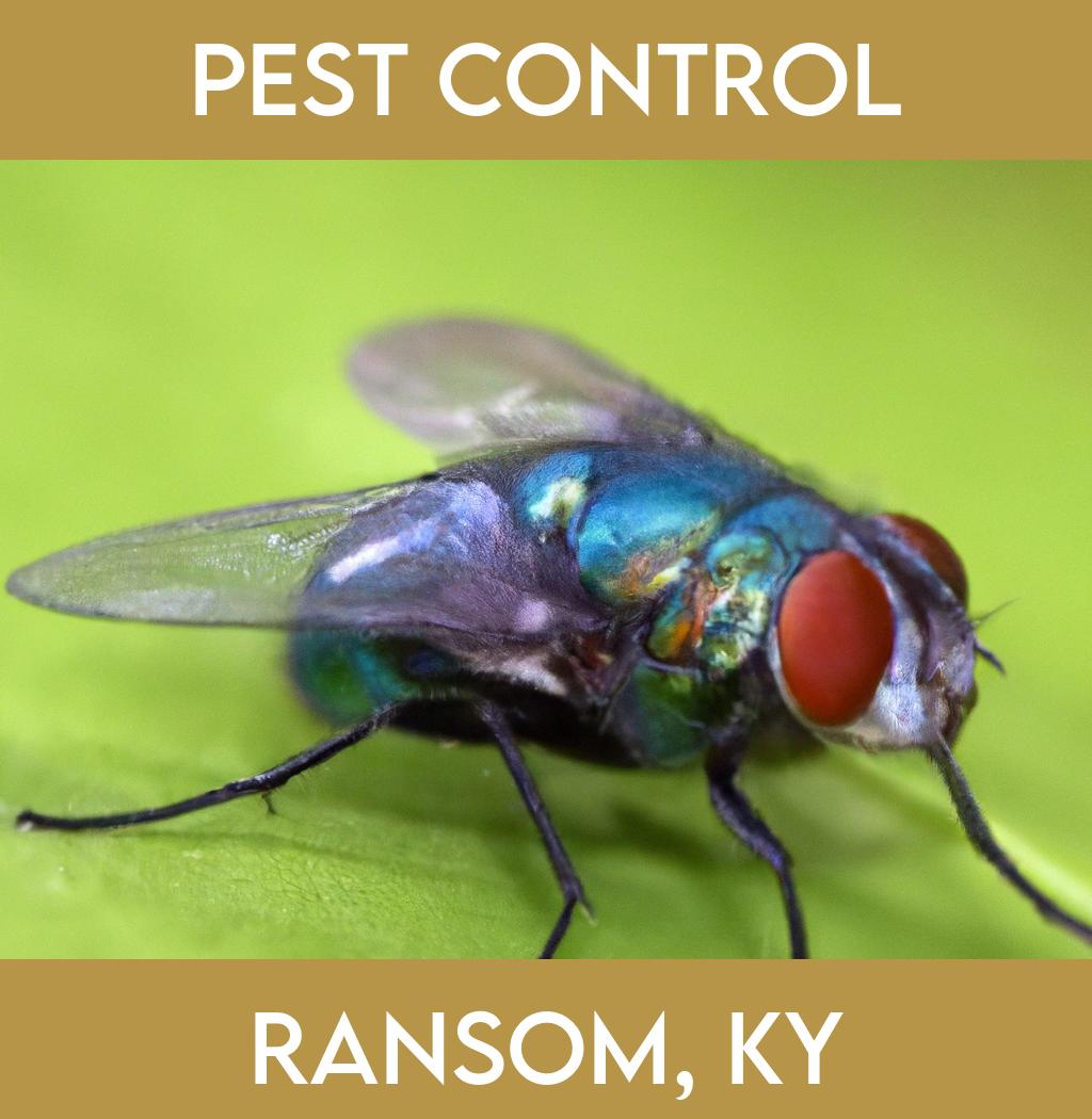 pest control in Ransom Kentucky