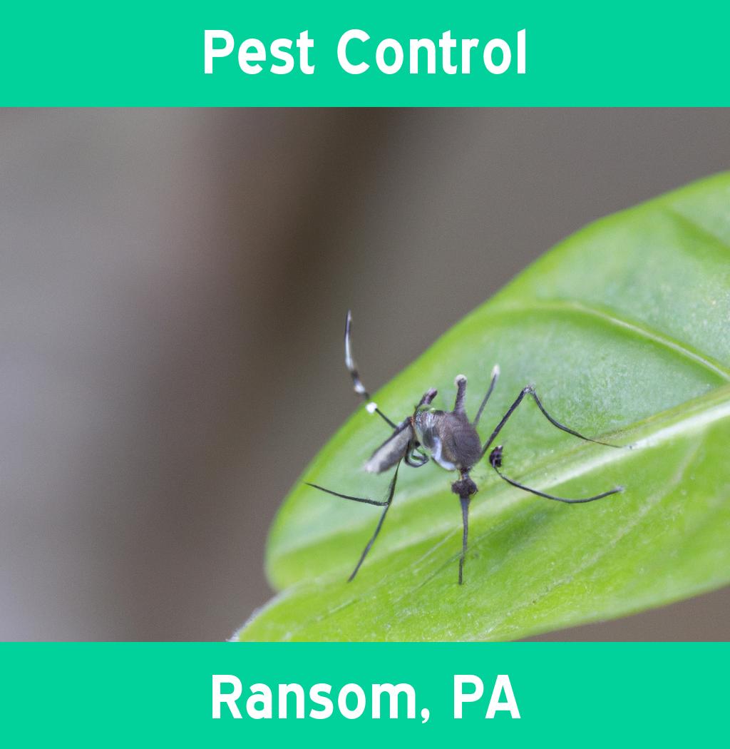 pest control in Ransom Pennsylvania