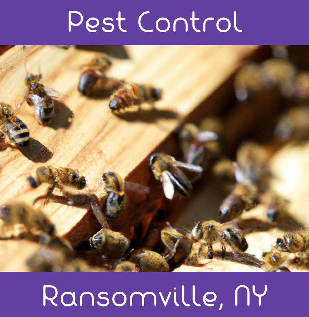 pest control in Ransomville New York