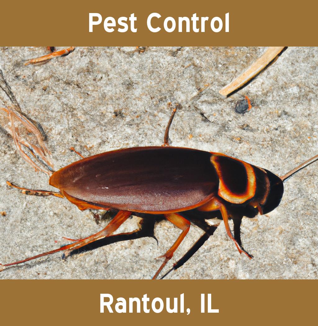 pest control in Rantoul Illinois