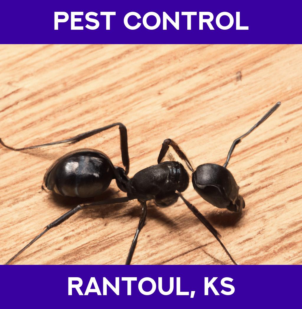 pest control in Rantoul Kansas