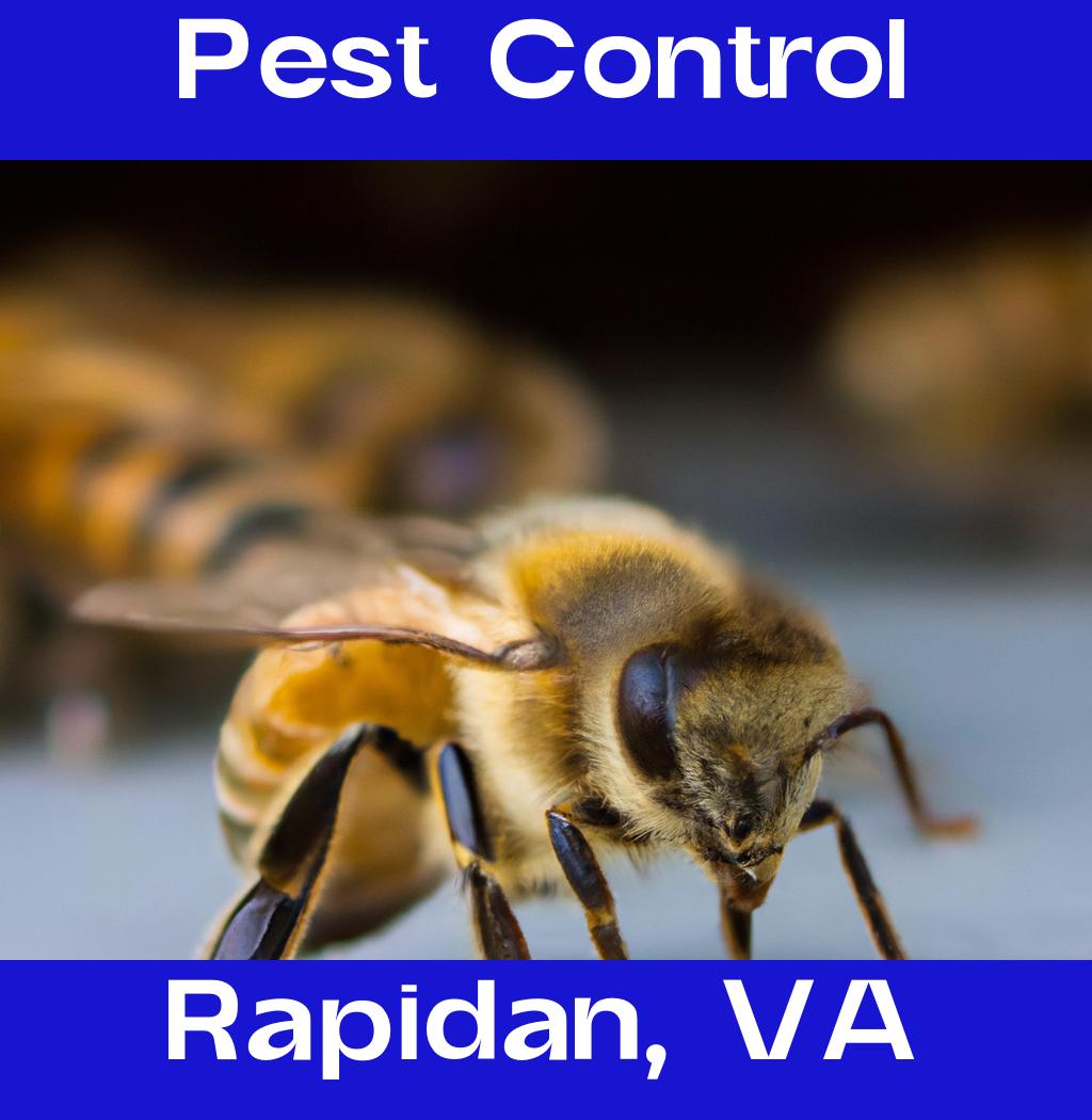 pest control in Rapidan Virginia