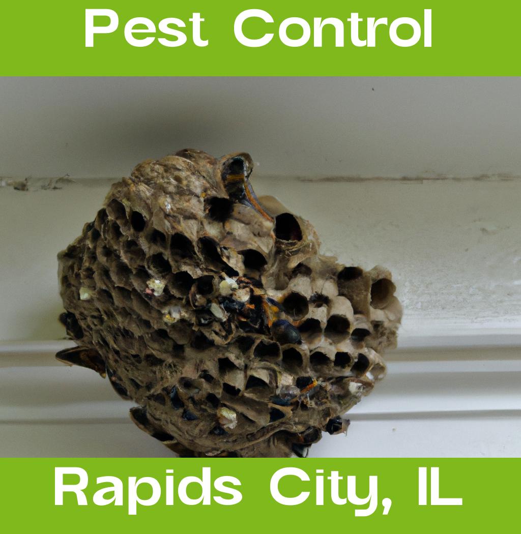 pest control in Rapids City Illinois