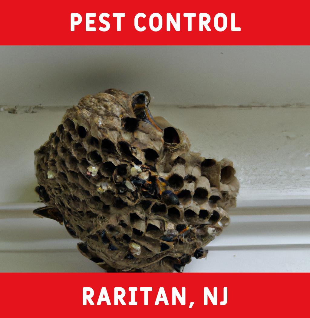 pest control in Raritan New Jersey