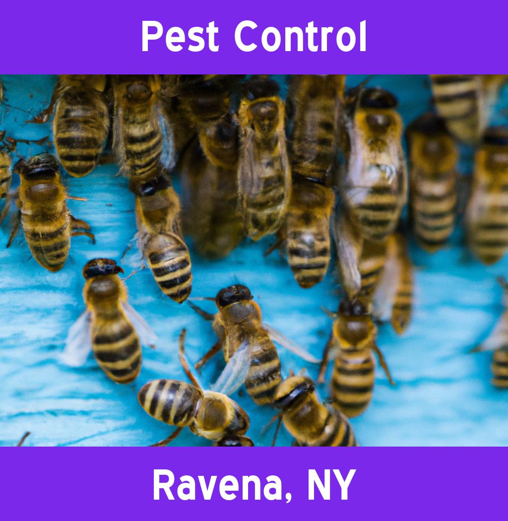 pest control in Ravena New York