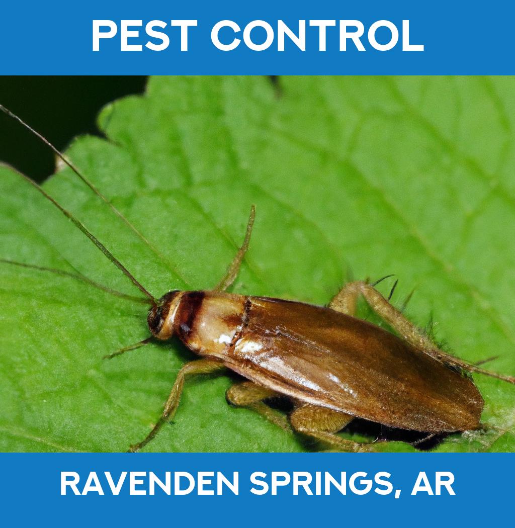 pest control in Ravenden Springs Arkansas