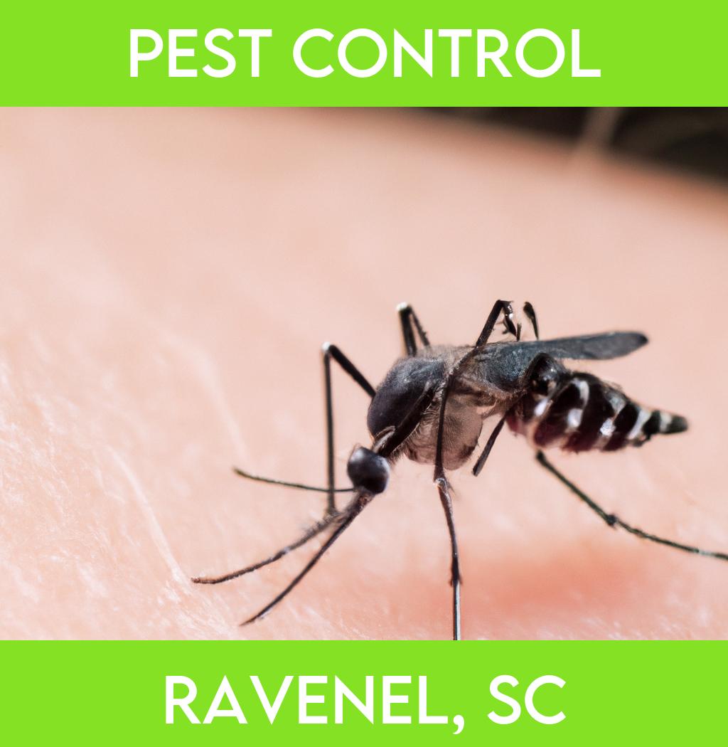pest control in Ravenel South Carolina
