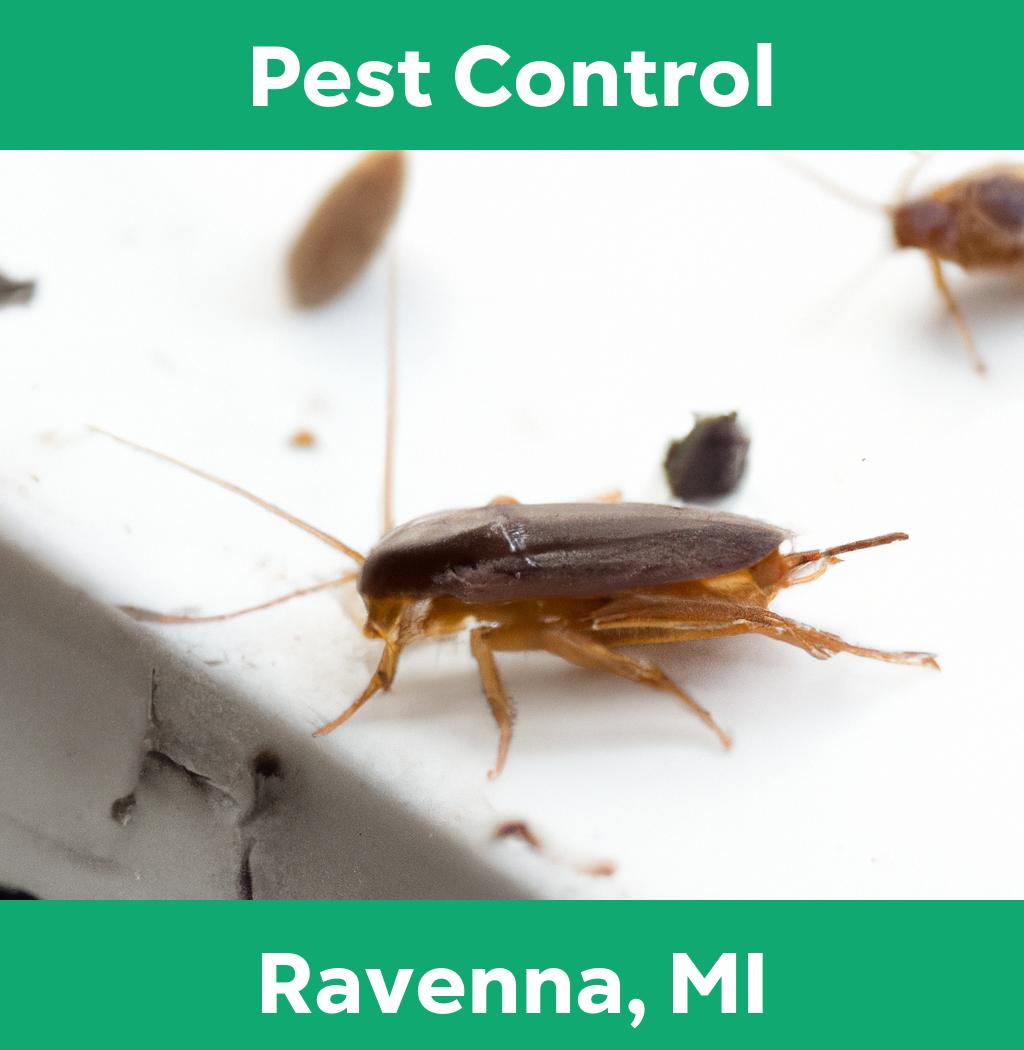 pest control in Ravenna Michigan