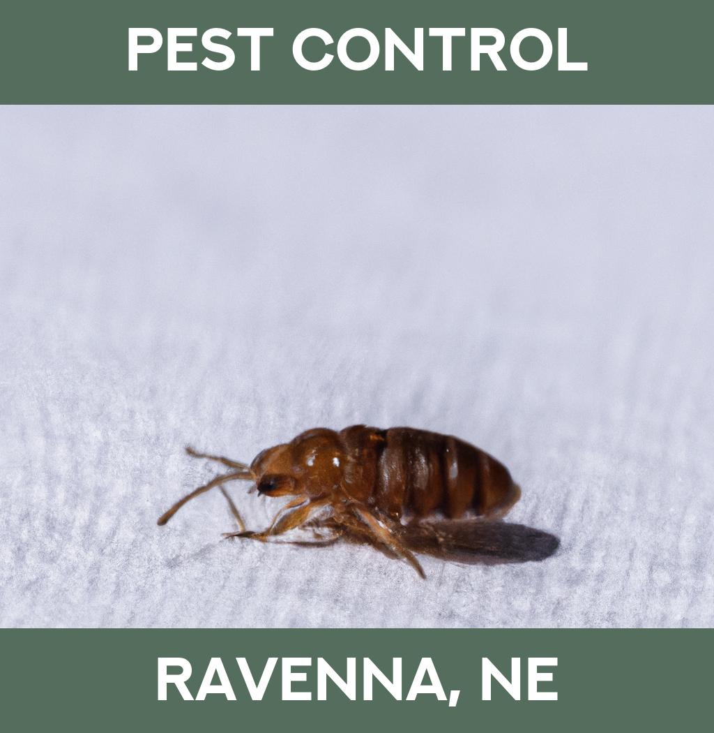 pest control in Ravenna Nebraska