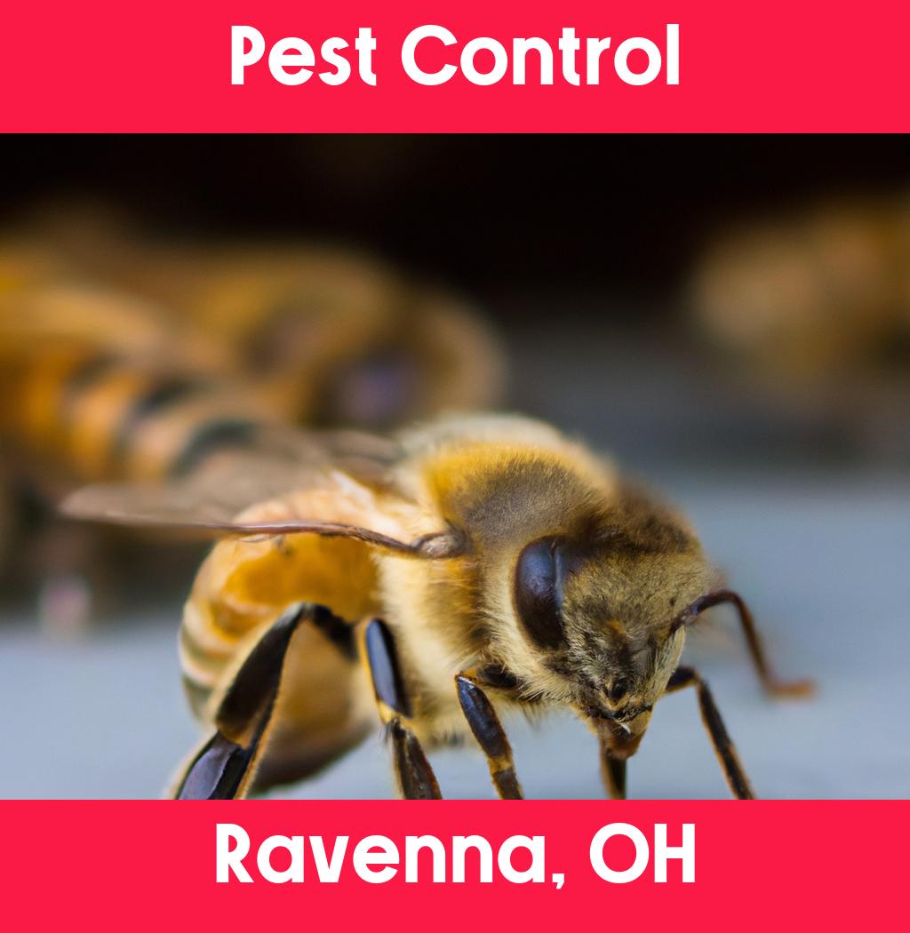 pest control in Ravenna Ohio